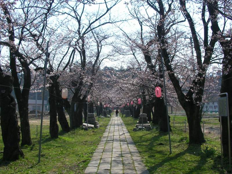 桜2007.04.12L