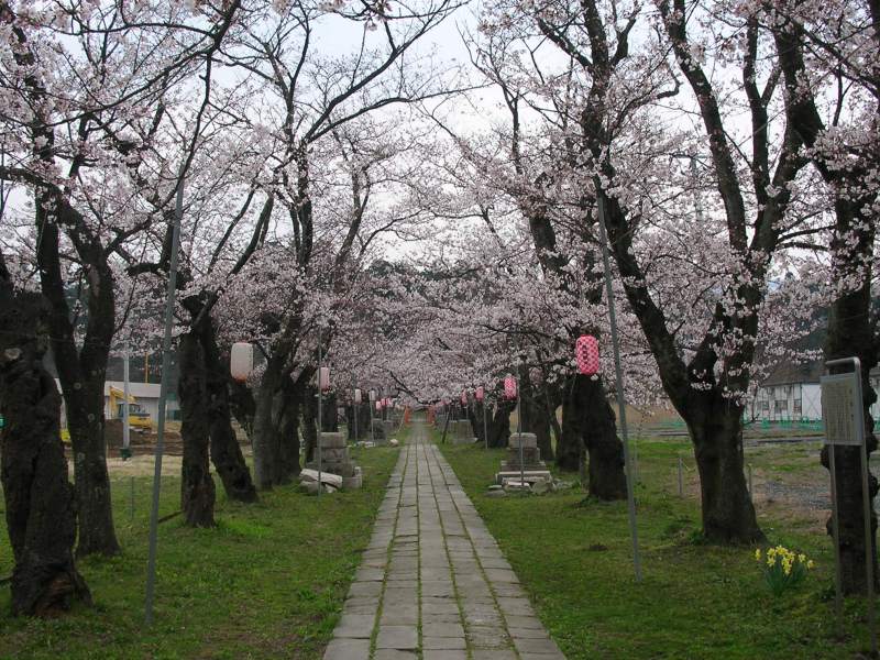 桜2007.04.13L