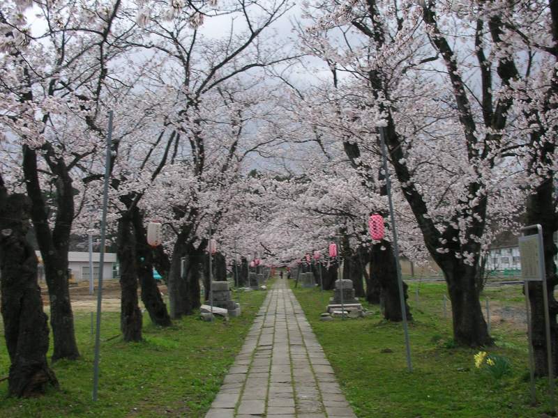 桜2007.04.14L
