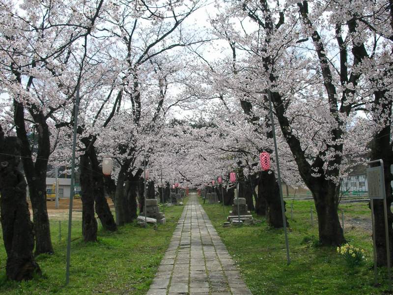 桜2007.04.18L