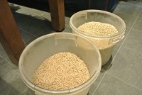 麦芽の計量