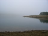 霧の野反湖